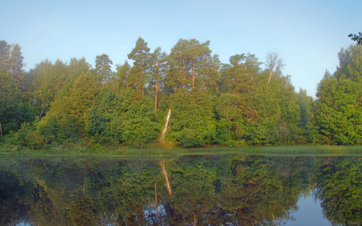656633 (a): :2560x1600